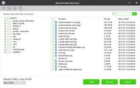 Iboysoft Data Recovery Pro 3.8 Crack With Activation Code Full 2021 (Mac/Win)