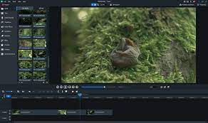 ACDSee Luxea Video Editor 7.1.2.2399 Crack & License Code 2024
