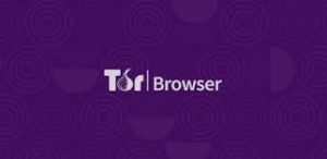 Tor Browser 13.5.2 Crack With Serial Key 2024 Free Download