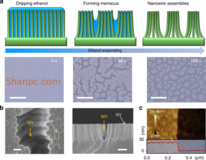 Air Cluster Pro 2.1.0 Full Version Plus Free Download [2025]